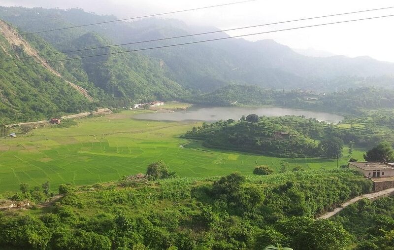 Ayurvedic herbs used by sexologist in Morni Hills for sexual wellness